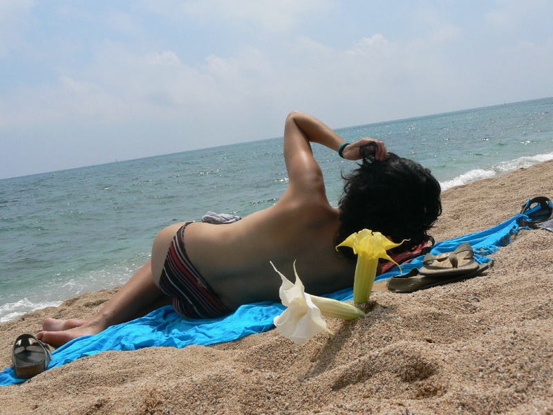 Беременная латина загорает на пляже без верха купальника 5 фотография