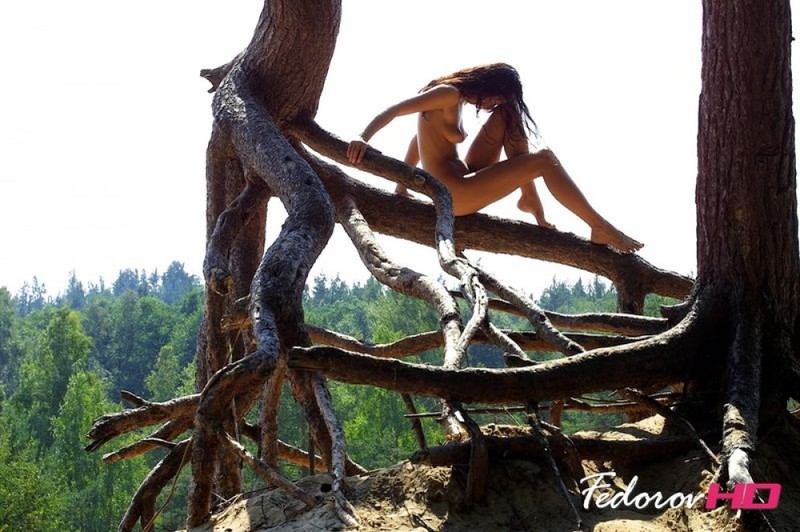 Лесная нимфа отдыхает голой на дереве 16 фотография