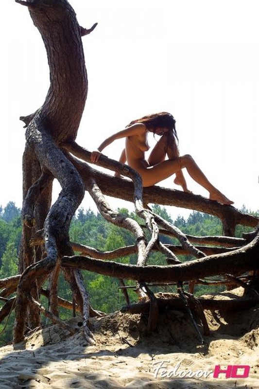 Лесная нимфа отдыхает голой на дереве 15 фотография